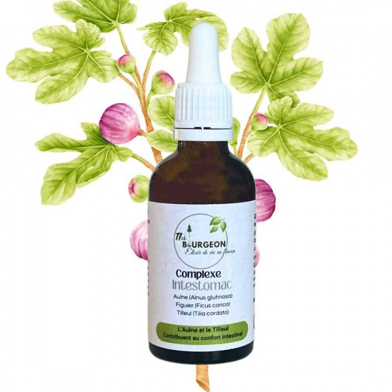 Stomach Int Complex - Aulne, Figuier and Tilleul Bourgeons - Gemmotherapy 50ml bottle