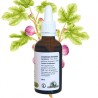 Stomach Int Complex - Aulne, Figuier e Tilleul Bourgeons - Gemmotherapy bottiglia 50ml