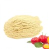 Acerola POUDRE (Malpighia emarginata) - Bag of 50 grams