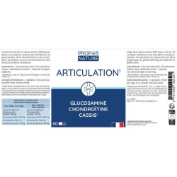 ARTICOLO - Glucosamina Condroitina & Cassis - Gel altamente dosati a 980mg