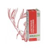 Huile essentielle LENTISQUE PISTACHIER (Pistacia lentiscus) BIO - 5ml