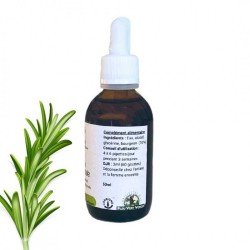 Foie-Vesicule Complex - Rable & Rosemary Bourgeons - Gemmotherapy bottiglia 50ml
