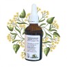Complexe Sommeil - Bourgeons de Saule & Tilleul - Gemmothérapie Flacon de 50ml