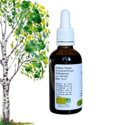 Climbing Complex - Bougeons de Bouleau, Châtaignier, Noisetier - Gemmotherapy 50ml bottle