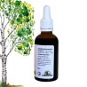 Complexe Minceur - Bourgeons de Bouleau, Châtaignier, Noisetier - Gemmothérapie Flacon de 50ml