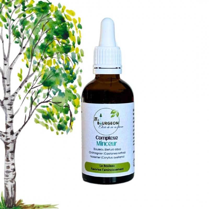 Complexe Minceur - Bourgeons de Bouleau, Châtaignier, Noisetier - Gemmothérapie Flacon de 50ml