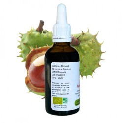 Veine & Lymph Complex - Chestnut, Maronnier, Sorbier - Gemmotherapy bottiglia 50ml