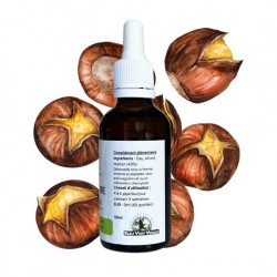 Alcoholature de Marron d'Inde - Aesculus hippocastanum - bottiglia 50ml