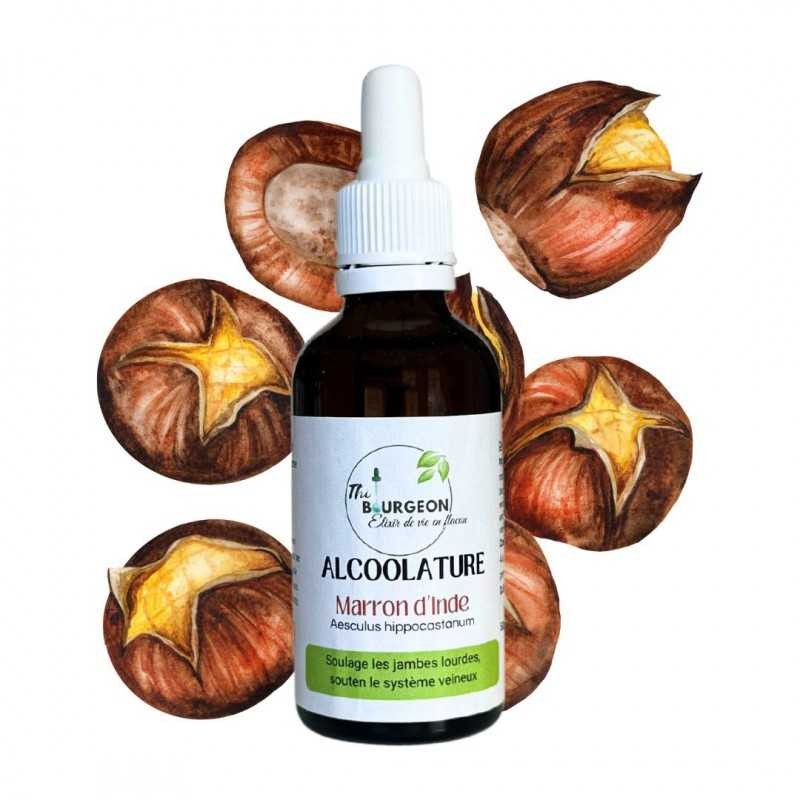 Alcoholature de Marron d'Inde - Aesculus hippocastanum - 50ml bottle