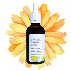 Calendula alcolica - Calendula officinalis - bottiglia 50ml