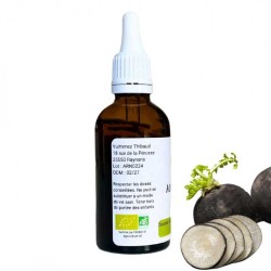 Black Radis Alcoholature - Raphanus sativus - bottiglia 50ml