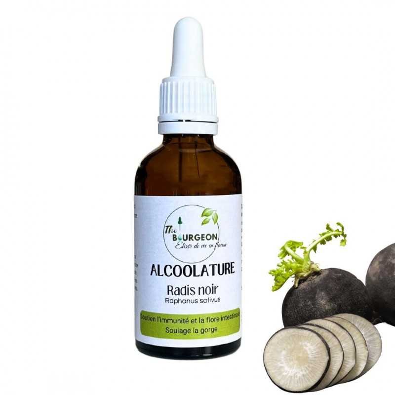 Alcoolature de Radis Noir - Raphanus sativus - Flacon de 50ml