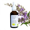 Alcoolatura Gattilier - Vitex agnus-castus - bottiglia 50ml