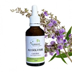 Alcoolatura Gattilier - Vitex agnus-castus - bottiglia 50ml