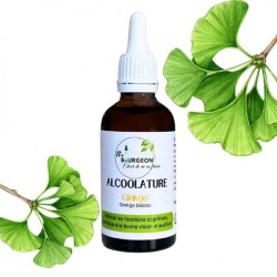 Ginkgo alcol - Ginkgo biloba - bottiglia 50ml
