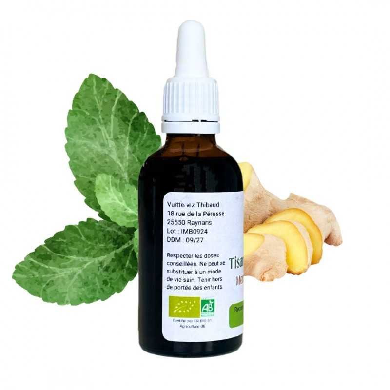 Mint Ginger - Mentha gracilis - bottiglia 50ml