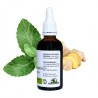 Mint Ginger - Mentha gracilis - 50ml Flasche