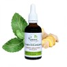 Mint Ginger - Mentha gracilis - botella de 50 ml