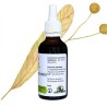 Tilleul tè istantaneo - Tilia cordata - bottiglia 50ml