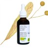 Tilleul tè istantaneo - Tilia cordata - bottiglia 50ml