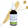 Tilleul tè istantaneo - Tilia cordata - bottiglia 50ml