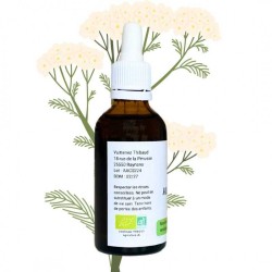 Achillea alcoholature Millefeuille - Aquihillea millefolium - 50ml bottle