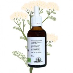 Alcolatura di Achillea Millefeuille - Achillea millefolium - bottiglia 50ml