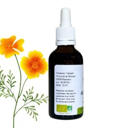 Alcoolature d'Escholtzia - Escholtzia californica - Flacon de 50ml