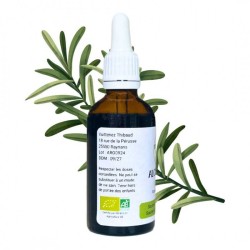 Rosmarinus officinalis - 50ml Flasche