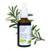 Rosemary alcoholature - Rosmarinus officinalis - 50ml bottle