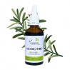 Rosemary alcoholature - Rosmarinus officinalis - 50ml bottle