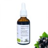 Alcoholature de Cassis - Ribes nigrum - bottiglia 50ml