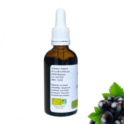 Alcoholature de Cassis - Ribes nigrum - bottiglia 50ml