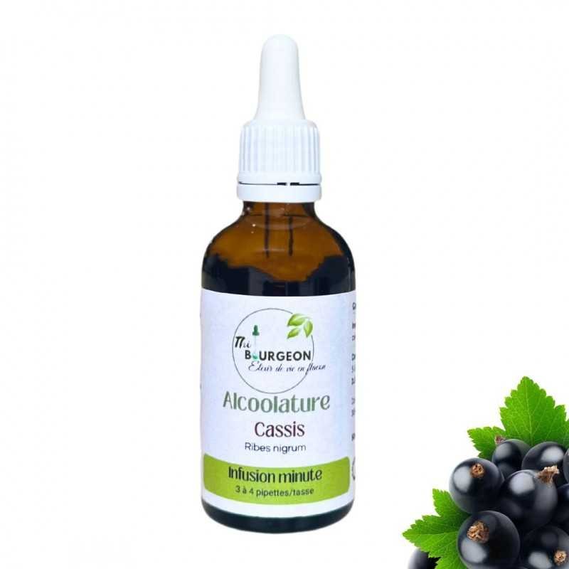 Alcoholature de Cassis - Ribes nigrum - bottiglia 50ml