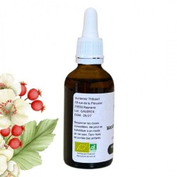 Weißdornknospenmazerat - Gemmo - Crataegus monogyna - 50ml