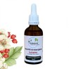 Aubépine bud macerate - Gemmo - Crataegus monogyna - 50 ml