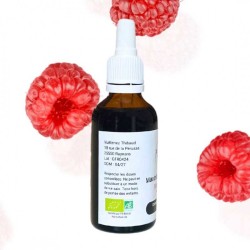Macérât de bourgeons de Framboisier - Gemmo - Rubus idaeus - 50ml