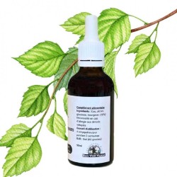 Macérât de bourgeons de Bouleau - Gemmo - Betula alba - 50ml