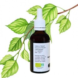 Macerato de abedul - Gemmo - Betula alba - 50 ml