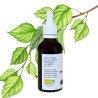 Birkenblüten - Gemmo - Betula alba - 50ml