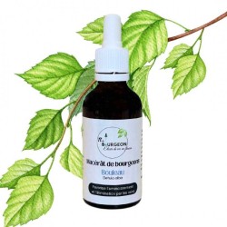 Birch bud macerate - Gemmo - Betula alba - 50ml