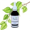 Birch bud macerate - Gemmo - Betula alba - 50ml