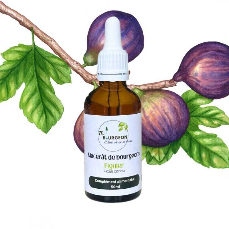 Macérât de bourgeons de Figuier - Gemmo - Ficus carica - 50ml