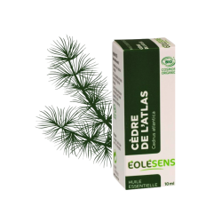 Huile essentielle bio de Cèdre de l’Atlas (bois) – 10 ml - Éolésens