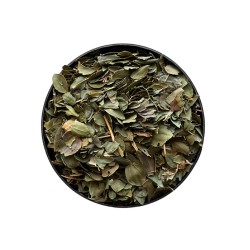 Feuilles de ziziphus jujuba | -10% sur la 1ère commande