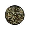 Feuilles de ziziphus jujuba | -10% sur la 1ère commande