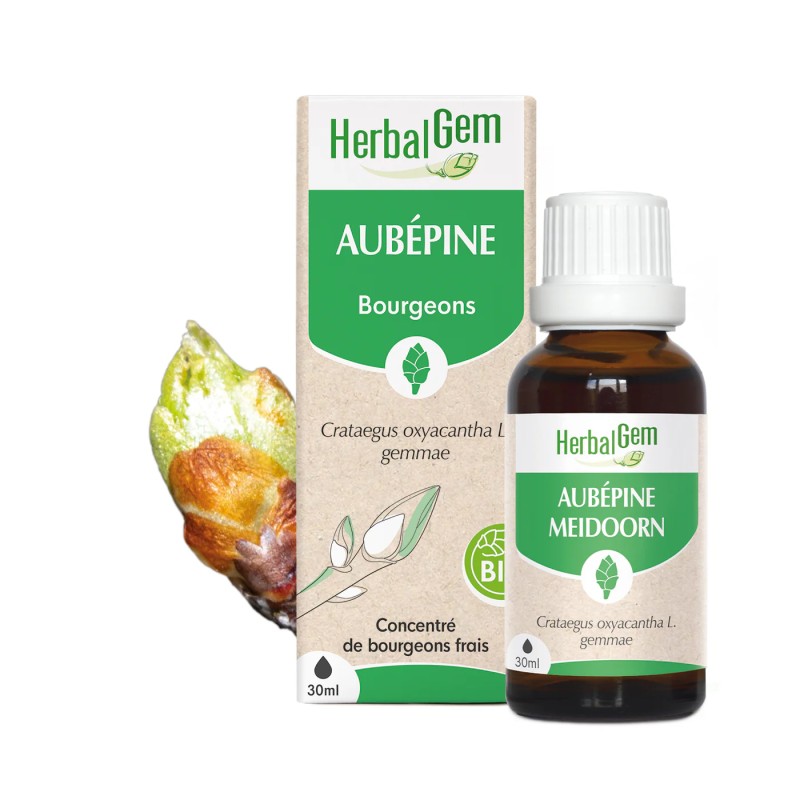 Bourgeon d’Aubépine Bio – Cœur, stress & mémoire | Gemmothérapie HerbalGem