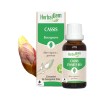 Bourgeon de Cassis Bio – Immunité, vitalité & articulations | Gemmothérapie HerbalGem
