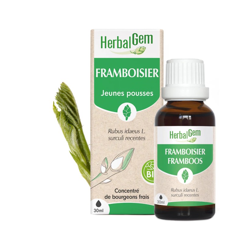 BOURGEONS DE FRAMBOISIER BIO - HERBALGEM - 30ml