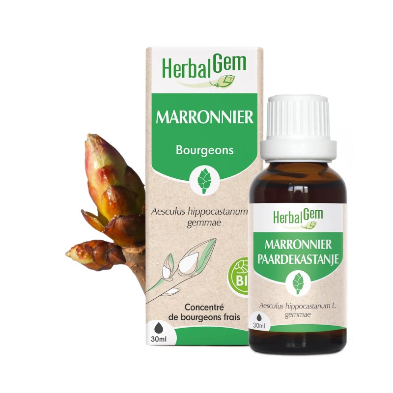 BOURGEONS DE MARRONNIER BIO - HERBALGEM - 30ml